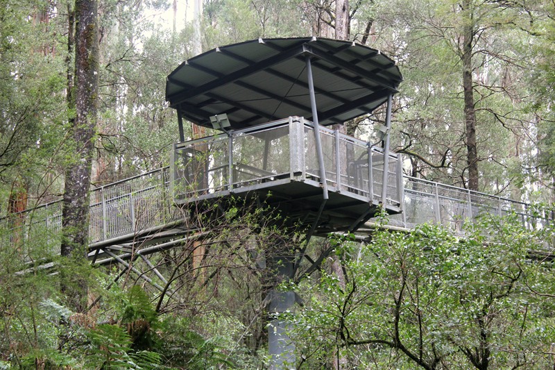 Dobanki Aerial Walk